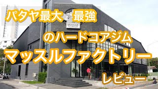 パタヤ最大　最強のハードコアジムMuscle Factory レビュー！