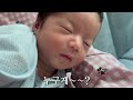 산후도우미 천국일까 쌍둥이 현실육아 밀착육아 vlog