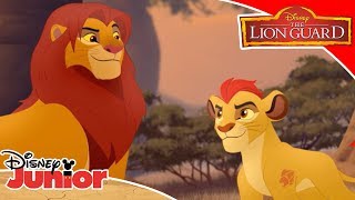 👊 Battle of the Pride | The Lion Guard | Disney Channel Africa