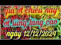 giá ớt chiều nay ngày 12/12/2024