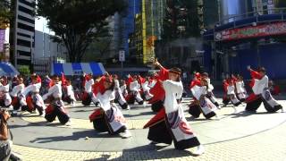 躍動（2013東京よさこい本祭・風雲豪傑）