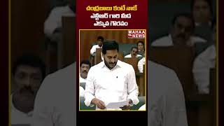 చంద్రబాబు కంటే నాకే ఎన్టీఆర్ గారి మీద ఎక్కువ గౌరవం |#shorts | Mahaa News