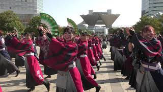 法政大学YOSAKOIソーランサークル鳳遥恋@2019'　ドリーム夜さ来い祭り　石と光の広場会場（パナソニックセンター東京前）