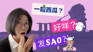 Singaporean Chinese vs China Chinese | 新加坡华文 VS 大陆中文 | Can Singaporeans Speak Chinese?