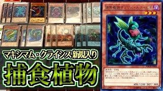 遊戯王 【デッキ紹介】 マキシマム・クライシス 新規強化 「捕食植物」 【トッティ遊戯王ｃｈ】2017.vol.9