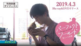 『パーフェクトワールド　君といる奇跡』特典映像ダイジェスト／2019.4.3（水）Blu-ray\u0026DVD リリース