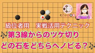 《級位者用実戦活用テクニック》「切り違い一方をノビよ」第３線からのツケ切り、どの石をどちらへノビる？