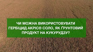 Чи можна використовувати гербіцид Акріс® соло, як ґрунтовий продукт на кукурудзу?