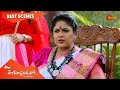 Ala Venkatapuramlo - Best Scenes | 08 April 2021 | Gemini TV Serial | Telugu Serial