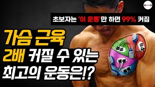 가슴운동 '이것'만 알면 2배 커집니다!! (가슴근육 운동 방법, 헬스초보, 가슴근육 키우는 방법)