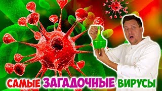 САМЫЕ ЗАГАДОЧНЫЕ И СТРАННЫЕ ВИРУСЫ НА ПЛАНЕТЕ