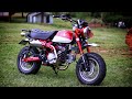 New Custom Honda Monkey 125 Walkaround + Exhaust | 181 NEO Big Bore Kit, Koso Digital Tach etc...