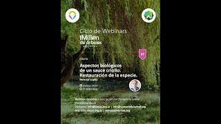 VII Webinar \