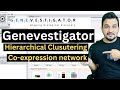 How to perform hierarchical clustering and co-expression networks in Genevestigator?