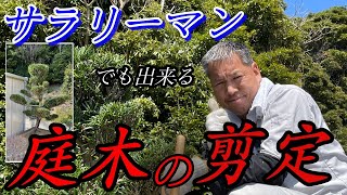 サラリーマンでも出来る庭木の剪定。サラリーマンの私が詳しく解説致します（再アップ動画です）