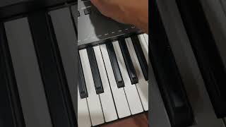 Yamaha PSR i300 | Memory Registration Tutorial | @saregamusic| @NewYorkRaj