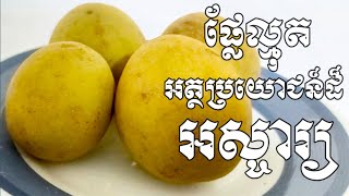 អត្ថប្រយោជន៏ដ៏អស្ចារ្យជាច្រើនដែលបានមកពីផ្លែល្មុតសំរាប់សុខភាពរាង្គកាយត្រូវការ - Health Inform