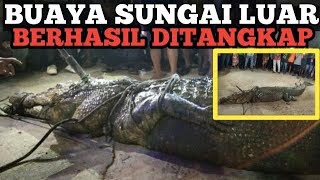 PENANGKAPAN BUAYA SUNGAI LUAR TEMBILAHAN INHIL RIAU TANGGAL 4 MEI 2020