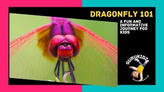 Dragonfly 101   A Fun and Informative Journey for Kids by GURUKIDZ