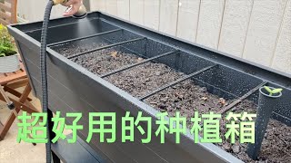 Costco这款种植箱  使用三年体验【购物体验专栏】