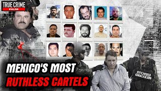 Mexico's most ruthless and brutal gangs | Drug Lord Documentary