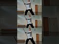 kung fu fun shifu stu hung gar kung fu 洪加功夫 shorts