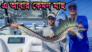 সমুদ্রের বাসবাস করা অদ্ভুত মাছ, যা এর আগে কখনোই দেখেননি! Strangest fish in the world