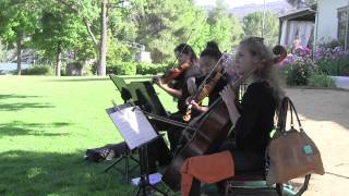 String Trio LosAngeles Ceremony and Wedding Musicians