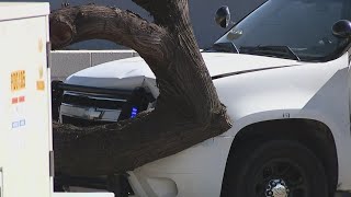 Suspect dead, Phoenix officer hurt after man reportedly tried to take patrol car