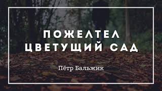 Пожелтел цветущий сад... (Встреча у престола) – Пётр Бальжик