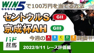 【WIN5で100万円：レース評価編】 2022年9月11日（日）セントウルS・京成杯AH