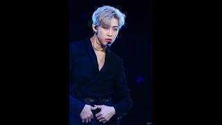 Why Ahgases can't help but loving GOT7 BAMBAM