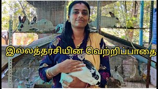 இல்லத்தரசியின் முயல் பண்ணையில் இங்கிலீஷ் பாட்டர் அங்கோரா மற்றும் அனைத்து வித முயல்கள் கிடைக்கும்..