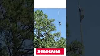 Helicopter Trims Trees With Saw Blade .....