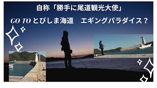 自称「勝手に尾道観光大使」Go to とびしま海道エギングパラダイス？？