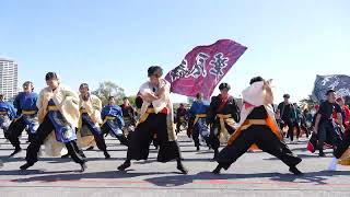 よさこい総踊り『踊るYOSAKOI愛日本』 📍仙台みちのくYOSAKOIまつり (青葉山公園仙臺緑彩館七夕会場) 2024-10-13T10:00