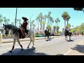 fiesta horse parade 2023 close to horses santa barbara