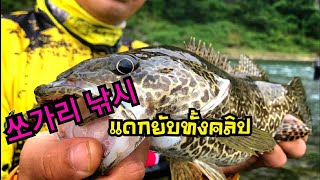 โชการี ต้องเหยื่อตัวนี  ???  กัดโคตรดี   ##ตกปลาเกาหลี  #Fishing  #쏘가리  #낚시   2021/8/8