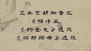 2023最新艾兵京胡知音汇，京剧《钓金龟》选段--二黄三眼“老天爷睁开了三分眼”+《四郎探母》选段--西皮导板+流水“一见娇儿泪满腮”，演唱：杨伟兰，京胡演奏：艾兵