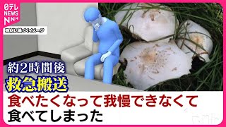 【毒キノコで救急搬送】「立派なキノコで我慢できず…」