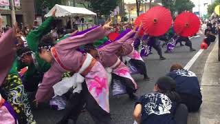 2017/08/26 にっぽんど真ん中祭り 騒屋 奏旅 大津通パレード 西コース 3回目