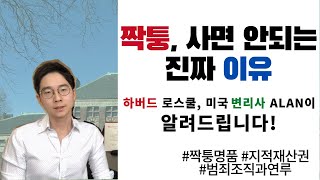 프리지아 논란으로 본 짝퉁에 숨겨진 어두운 진실 | 하버드 로스쿨, MIT 박사출신 미국 변리사 Alan이 들려주는 가짜 명품을 사면 안되는 진짜 이유!