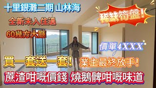 【十里銀灘二期 山林海】 蔗渣咁嘅價錢 燒鵝髀咁嘅味道  |  買一套送一套！ 業主最終放手 稀缺筍盤  |  60幾方打廳  全新未入住過  #大灣區退休 #十里銀灘 #海景房