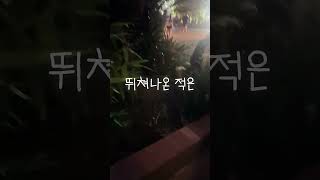 호주에서 새벽 5시 비상상황