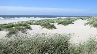 Wandern - Texel, Wanderrunde von Paal 9 über Loodsmansduin, Kuuldernollen, De Geul und Horsmeertjes