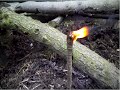 How to make a candle using pine sap