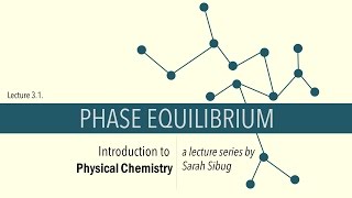 3.1. Phase Equilibrium