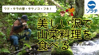 【Enjoy！芦別】ソラチの社員が山菜で絶品アウトドア飯を作ってみた！！〜後編〜