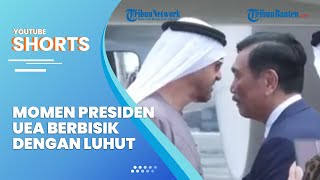Presiden Uni Emirat Arab Berbisik Dengan Luhut Binsar Pandjaitan saat Turun dari Pesawat
