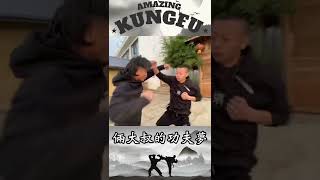 Kungfu man vs Kungfu man【Amazing Kungfu】#shorts #fighting